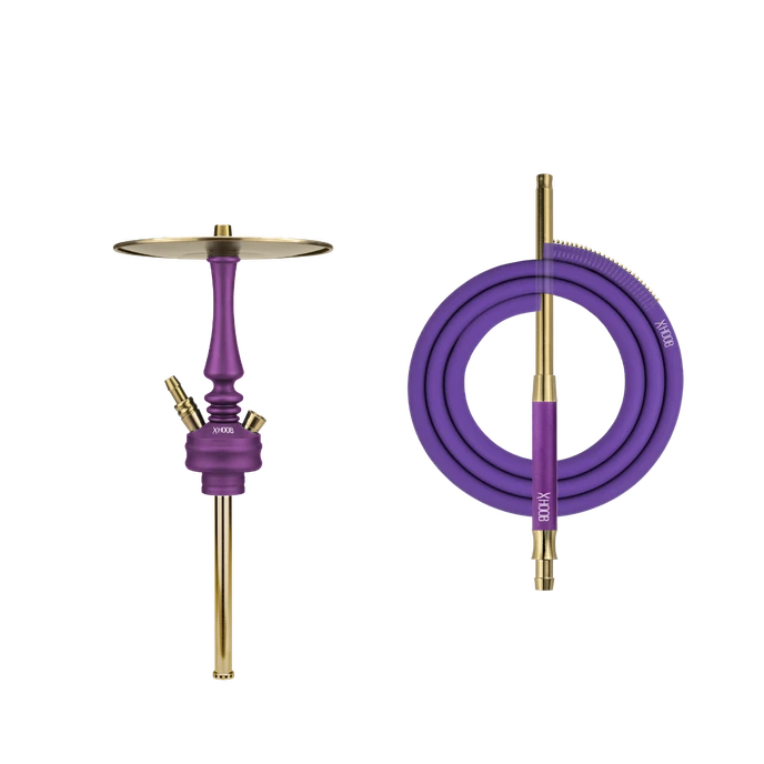 HOOB Mars Mini Royal purple-Gold-Gold