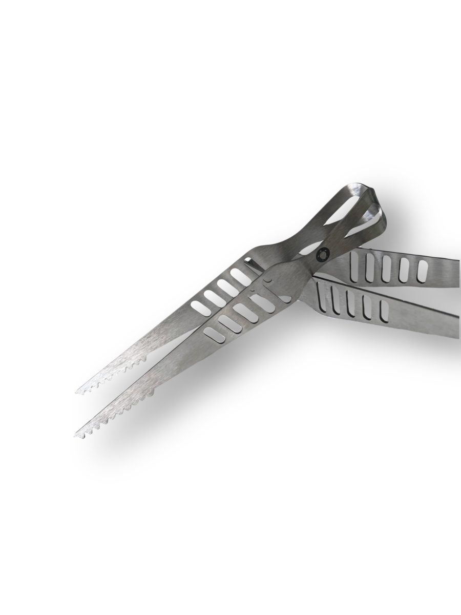 TORTUGA tongs SHARK