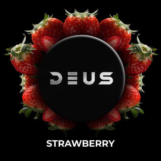 DEUS FLAVOR Strawberry 100g / デウス フレーバー ストロベリー 100g